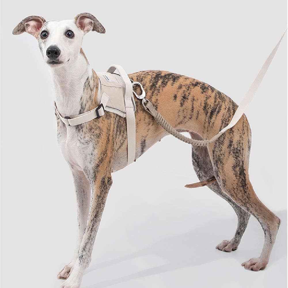 山谷多功能緩衝牽繩(四色)/可調節雙頭牽繩